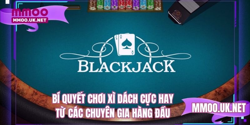 Bí quyết chơi xì dách cực hay từ các chuyên gia hàng đầu 