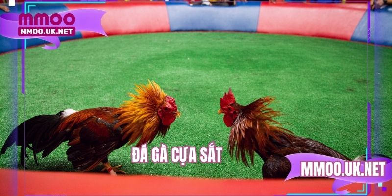 Đá Gà Cựa Sắt