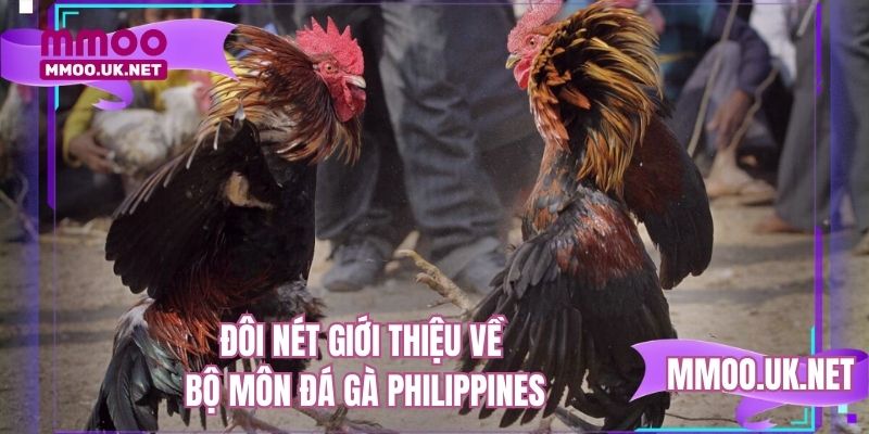 Đôi nét giới thiệu về bộ môn đá gà Philippines
