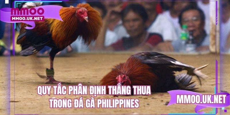 Quy tắc phân định thắng thua trong chọi gà Philippines
