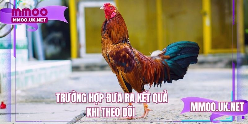 Trường hợp đưa ra kết quả khi theo dõi